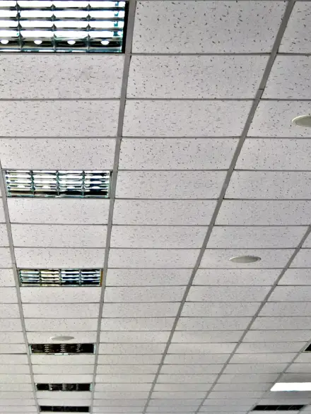 AdobeStock_165947692